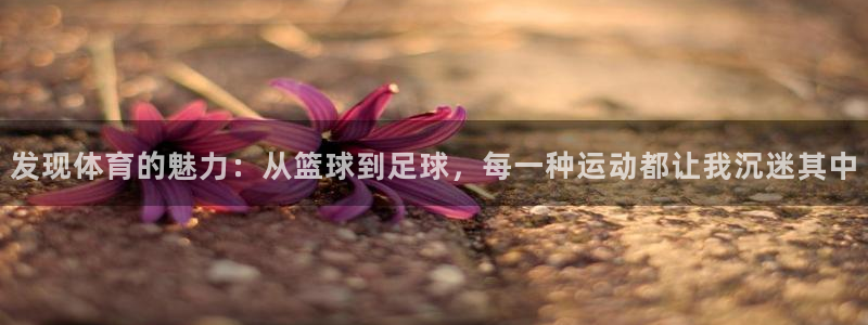 oety欧亿