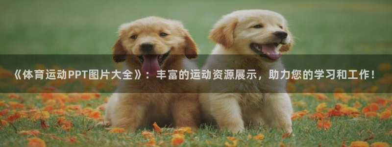 oety欧亿