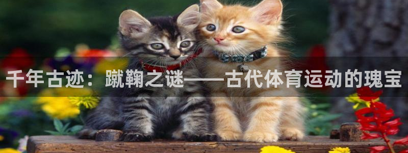 oety欧亿