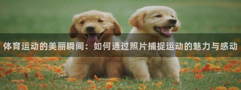 oety欧亿