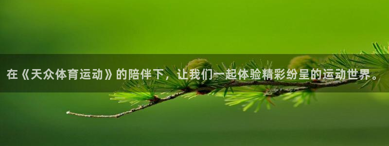 oety欧亿