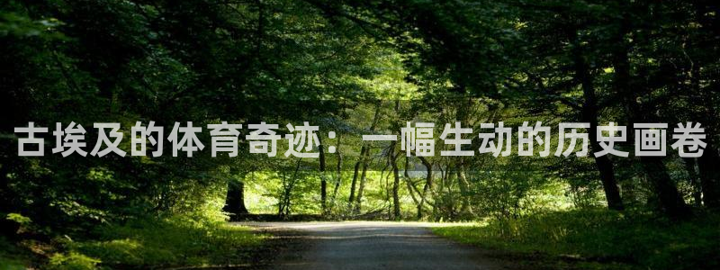 oety欧亿