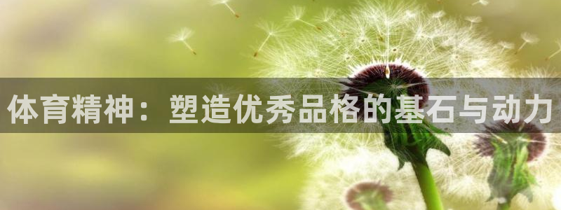 oety欧亿