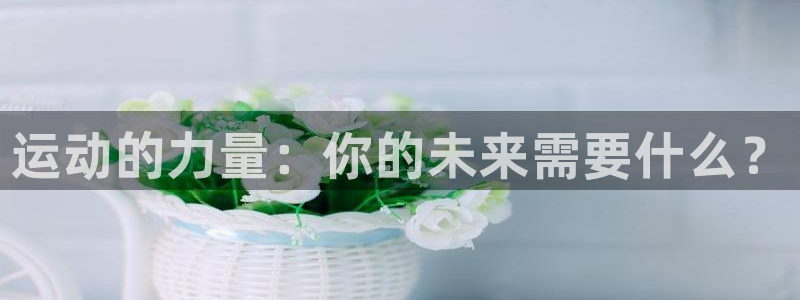 oety欧亿